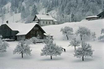 Desktop Winter Scenes Best Cars Res