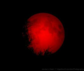 Vegastar Carpentier Captured This Image Of A Hunter S Moon From