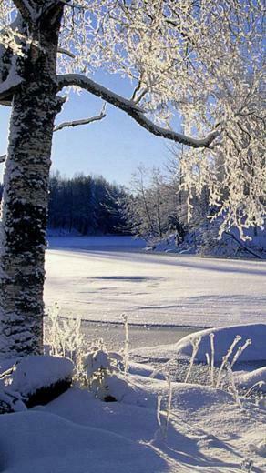 Winter Wallpaper For iPhone Plus HD Background Of Your