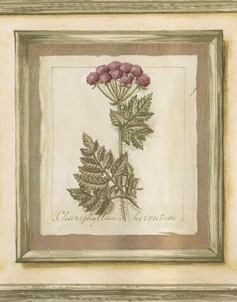 Plants In Frames Latin Vintage Yellow Wallpaper Border Retro