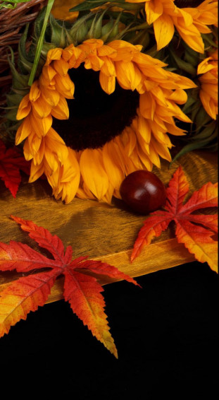 New Super Cute Fall Wallpaper For iPhone Pro Max