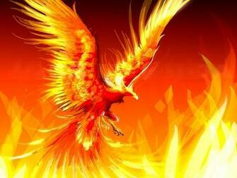 Eagle Wallpaper Top Desktop No