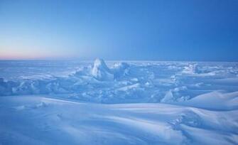 North Pole Facts We Bet You Don T Know The List Love
