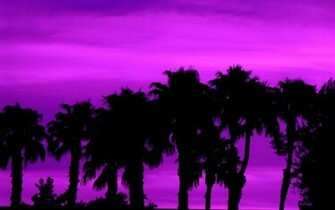 Purple Haze Wallpaper