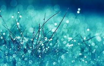 Water Drops On Grass Wallpaper 4k Ultra HD
