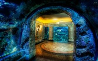 Best Looking Aquarium Background Wallpaper