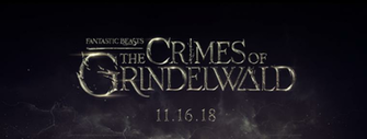 Fantastic Beasts What Does Amber Heard Think About