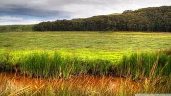 Wetland 4k HD Desktop Wallpaper For Ultra Tv Wide