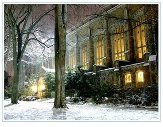Winter Central Park Wallpaper