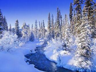 Wallpaper Snow