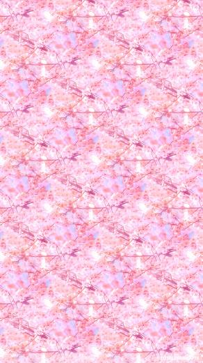 Pink Cherry Blossoms iPhone Wallpaper Floral