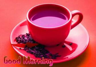 Good Morning Image Photo Wallpaper Picture