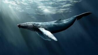 Blue Whale Wallpaper Image