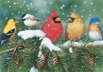 Casse T Te Oiseaux Hiver Pi Ces L Charger
