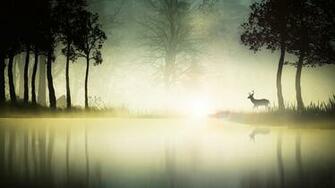 Deer At The Foggy Lake Wallpaper