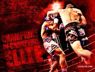Muay Thai Wallpaper Bit