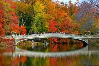 Central Park Fall Foliage