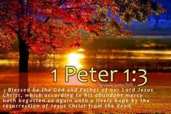 Search Bible Verse Wallpaper Image