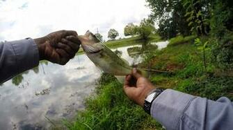Like Shooting Fish With A Rocket The Best Places To In