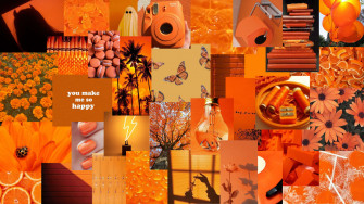Add A Vibrant Touch To Your Desktop With Lively Orange Wallpaper