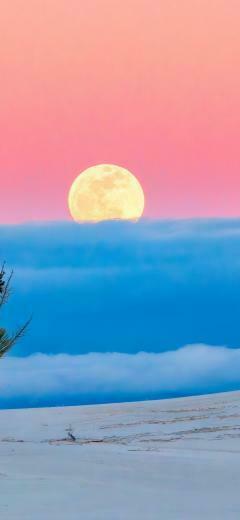 Top Nature iPhone Wallpaper HD Background