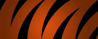 Tigers Duel Dual Monitor Bengals By HDwallpaper4you