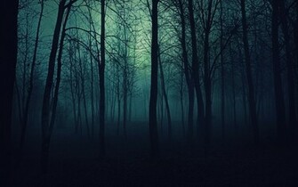 Black Misty Forest Wallpaper HD