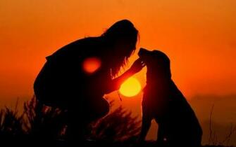 Girl And Dog Silhouette Wallpaper Photos Of As Options To