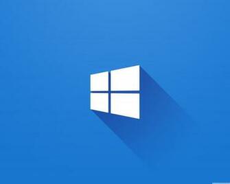 Windows Wallpaper 4k Ecopetit Cat