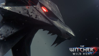 The Witcher Wild Hunt Computer Wallpaper Desktop Background