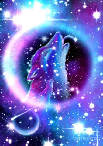 Image Result For Wolf Wallpaper Poster Painting