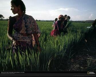 Of The Day Picture Photography Wallpaper National Geographic