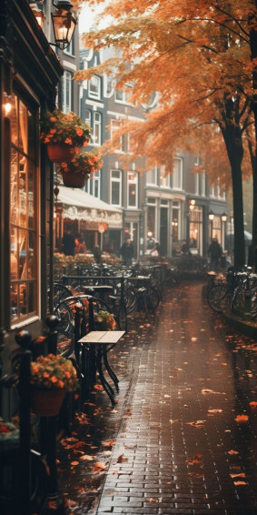 Gorgeous Fall Phone Wallpaper Cute