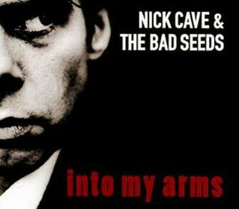 Nick Cave Image The Bad Seeds Wallpaper And