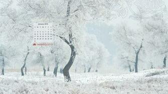February Wallpaper Calendar Image