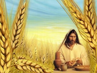 Eucharist Wallpaper
