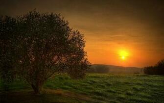 Mystic Wallpaper Nature Sunset Background Mysticsunset Winter