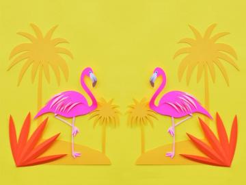 Flamingo Wallpaper HD For Your Desktop