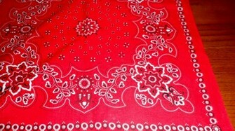 Red Paisley Bandana Cowboy