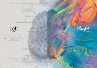 Left Brain Right Wallpaper Desktop