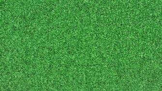 Background Light Grass Carpet Wallpaper 4k Ultra HD