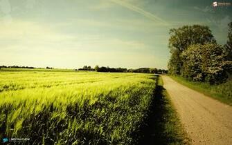 Nice Summer Day Desktop Pc And Mac Wallpaper