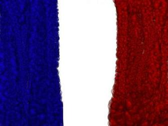 French Flag Wallpaper Ing Gallery