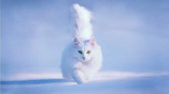 HD Widescreen Wallpaper Right Click The Select Set As