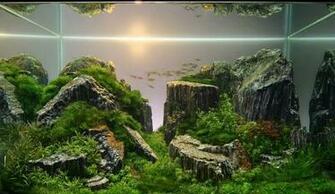 Aquascape Ideas Wallpaper