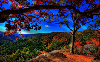 iPad Pro Scenery Wallpaper