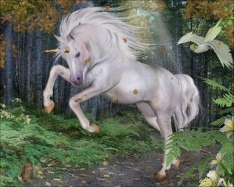 Unicorn Computer Wallpaper Desktop Background Id