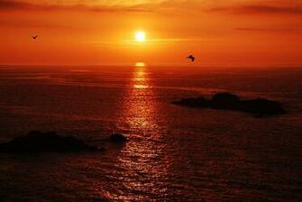 Sunset Birds Sky Red Sea Islands Calm Beauty Emotions