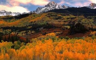 Windows Xp Autumn Wallpaper