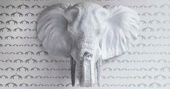 Sissy And Marley Elephant2
